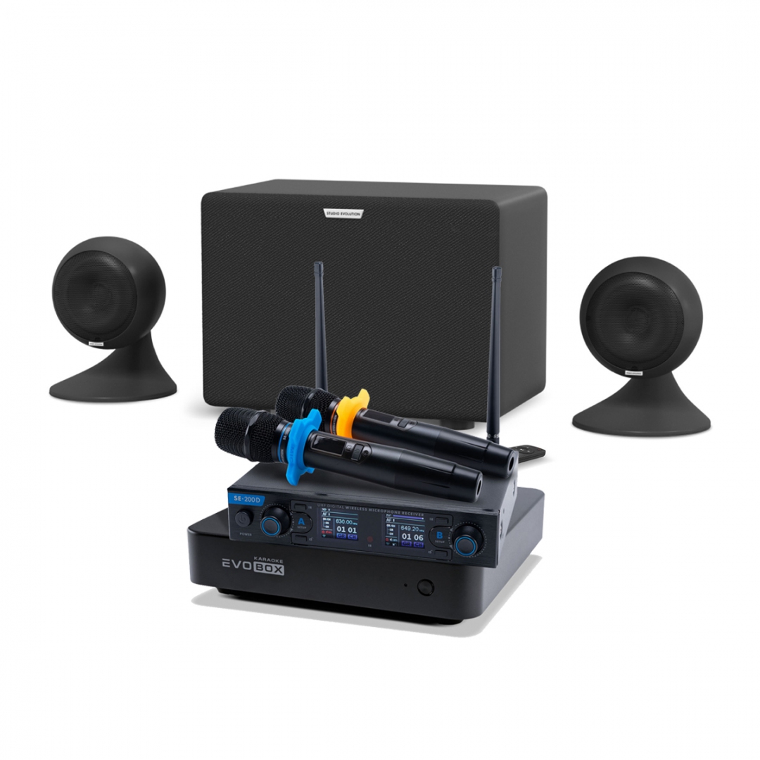 караоке-комплект EVOBOX + EvoSound Sphere 2.1 в Арсеньеве