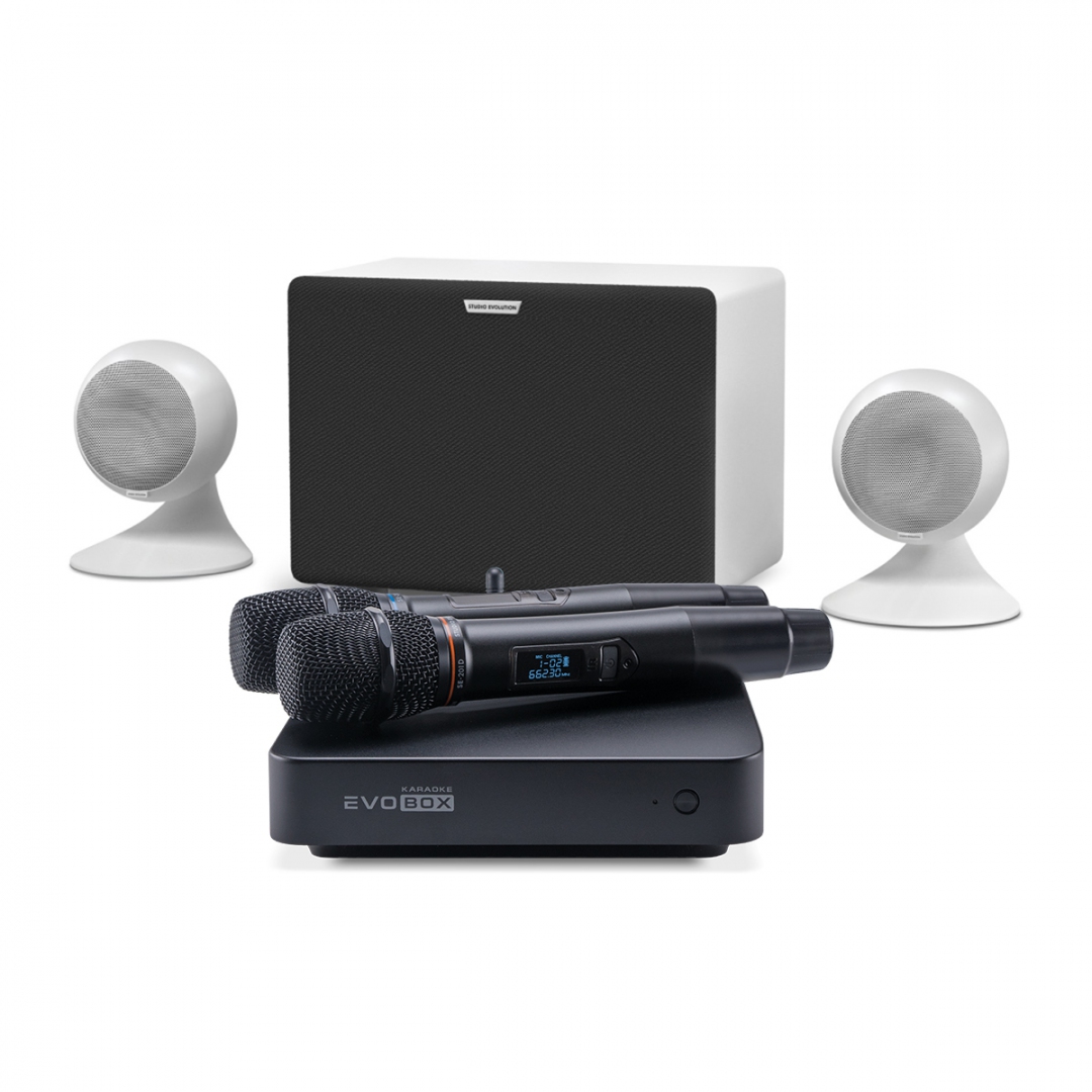 караоке-комплект EVOBOX Classic + EvoSound Sphere 2.1 в Арсеньеве