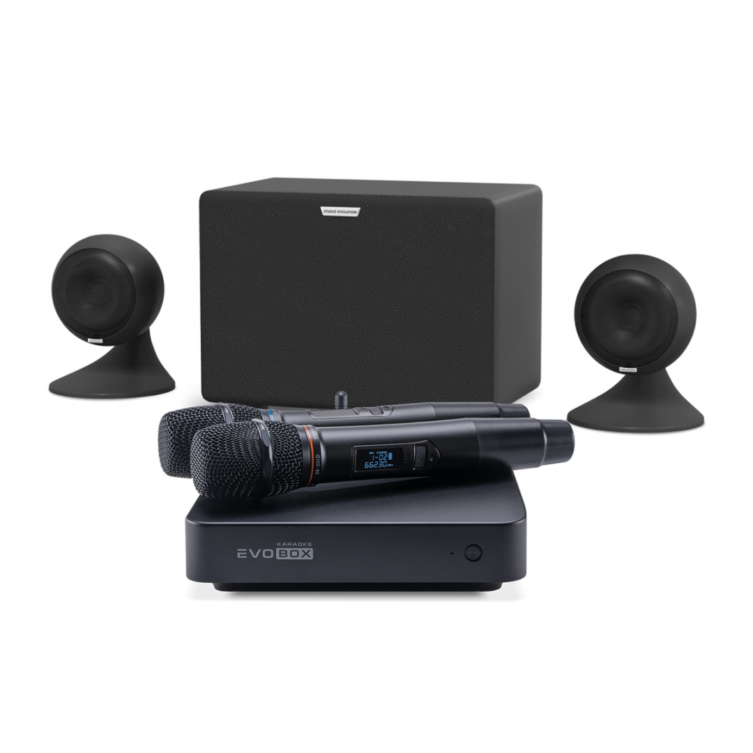 караоке-комплект EVOBOX Plus + EvoSound Sphere 2.1 в Арсеньеве