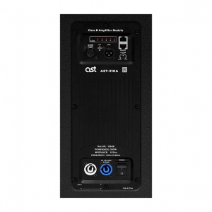 Активная акустическая система AST-310A в Арсеньеве