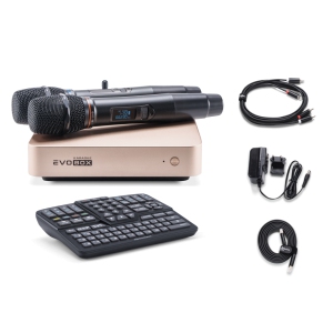 EVOBOX Classic караоке-система для дома в Арсеньеве