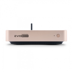 EVOBOX Plus караоке-система для дома в Арсеньеве
