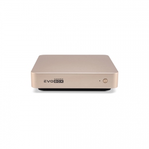 EVOBOX с микрофонами в Арсеньеве